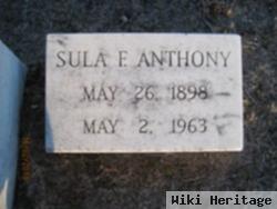 Sula Florence Anthony