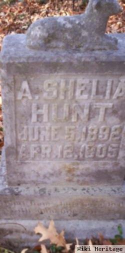 A Shelia Hunt