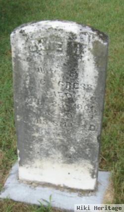 Jane W. Gress