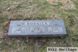 John H Hornick