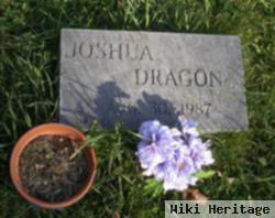 Joshua Dragon