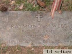 Raymond Arthur Webb