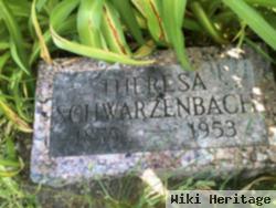 Theresa Schwarzenbach