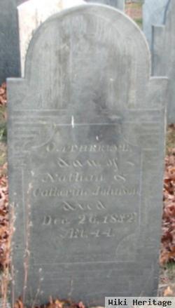 Catherine Johnson Demary