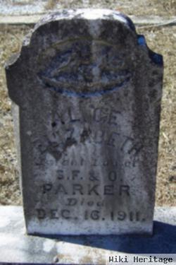 Alice Elizabeth Parker