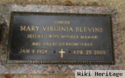 Mary Virginia "ginger" Epperson Blevins