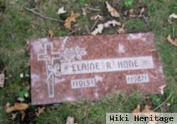 Elaine Ruth Steigleder Hone