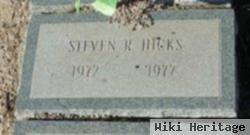 Steven R Hicks