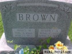 Harriet Agnes Crum Brown