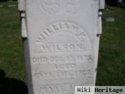 William K Wilson