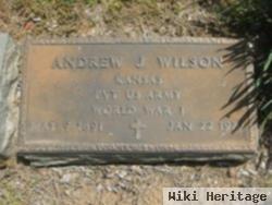 Andrew Jackson Wilson