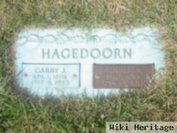 Garry J. Hagedoorn