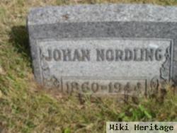 Johan Nordling