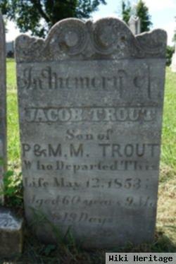 Jacob Trout