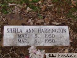 Sheila Ann Harrington