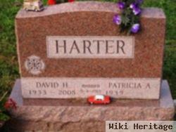 David Henry Harter