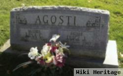 Luigi J Agosti