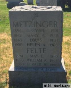 Mary Ann Brennan Metzinger