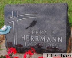 Jerry P Herrmann