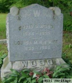 Louisa M. Wood