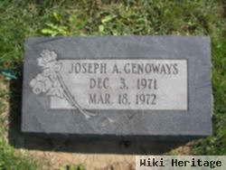 Joseph Allen Genoways