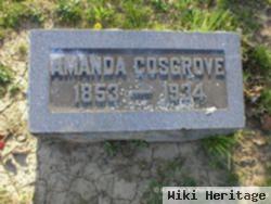 Amanda Cosgrove