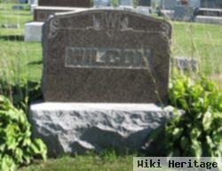 Wilbur M Wilcox