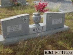 Herman E Wolf