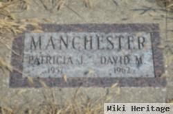 David M Manchester