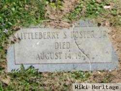 Littleberry S. Foster, Jr