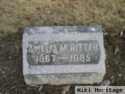 Amelia M Ritter