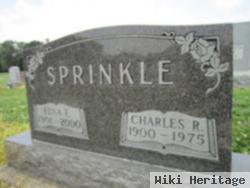 Charles Raymond Sprinkle