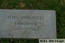 Eliza Woodside Hoblitzell Linthicum
