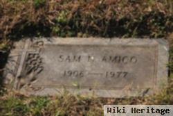 Sam N. Amico