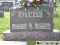 Peter J Kleman