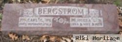 Carl G. Bergstrom