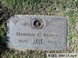 Hannah C Briner