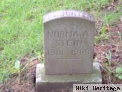 Norma A Stein