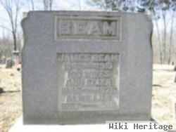 Ann Eliza Fox Beam