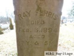 Ray Ferris