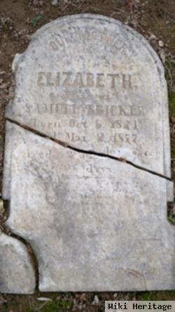 Elizabeth Enck Bricker