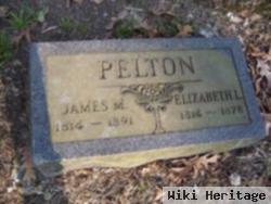 James M Pelton