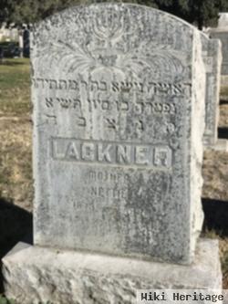 Nesha "nettie" Schechter Lackner