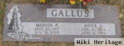 Marvin P Gallus