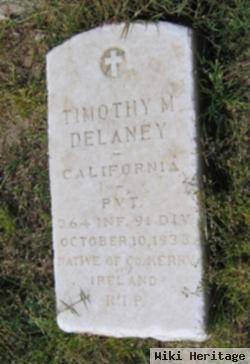 Timothy M. Delaney