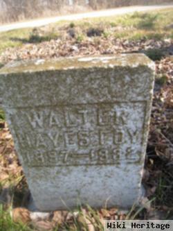 Walter Hayes Foy