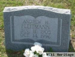 Andrew Henry Fleitmann