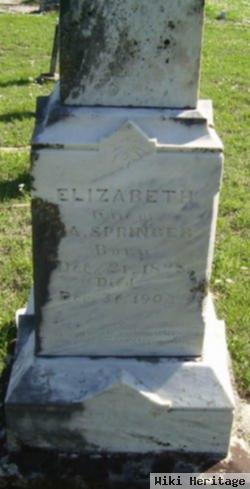 Susan Elizabeth Smith Springer