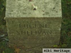 Eugene Sullivan