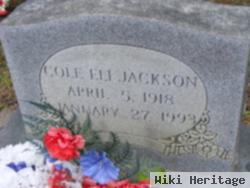 Cole Eli Jackson